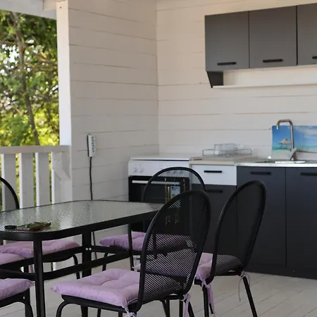 Purple & Violet Zarewo