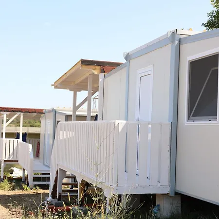 Purple & Violet Царёво