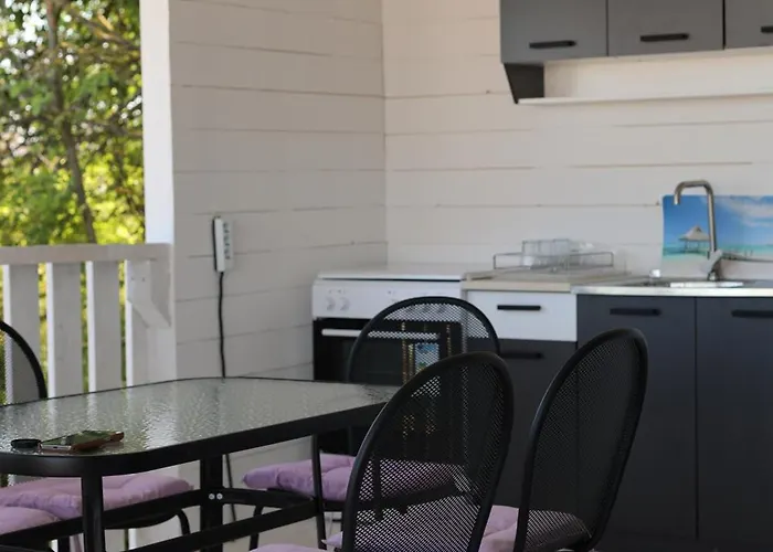 Purple & Violet تساريفو