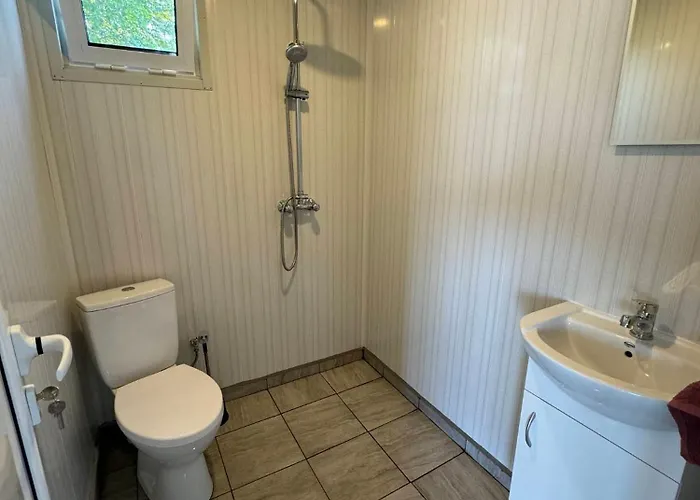 Purple & Violet * تساريفو