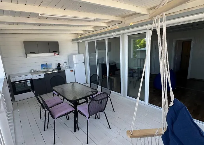 Purple & Violet فيلة تساريفو