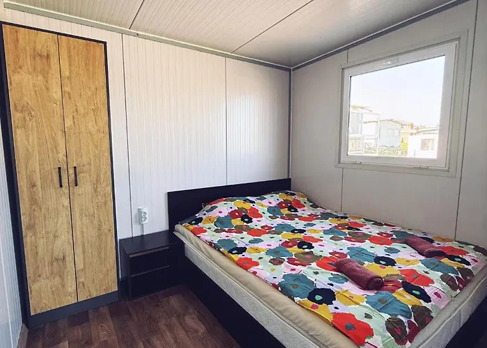 Purple & Violet تساريفو