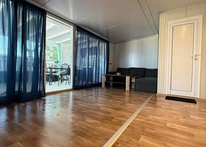 Purple & Violet فيلة