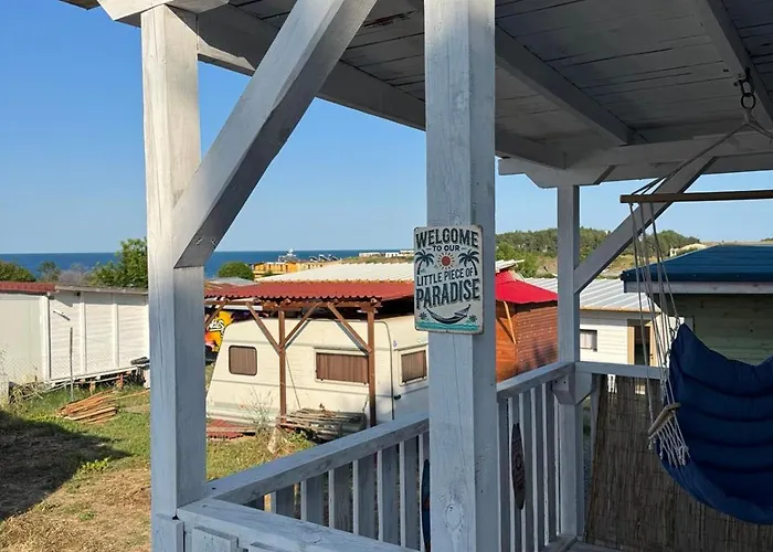 Purple & Violet فيلة تساريفو